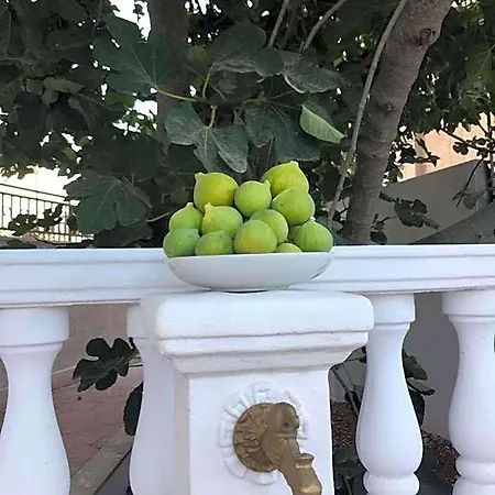 Cristina Bed & Breakfast Alezio